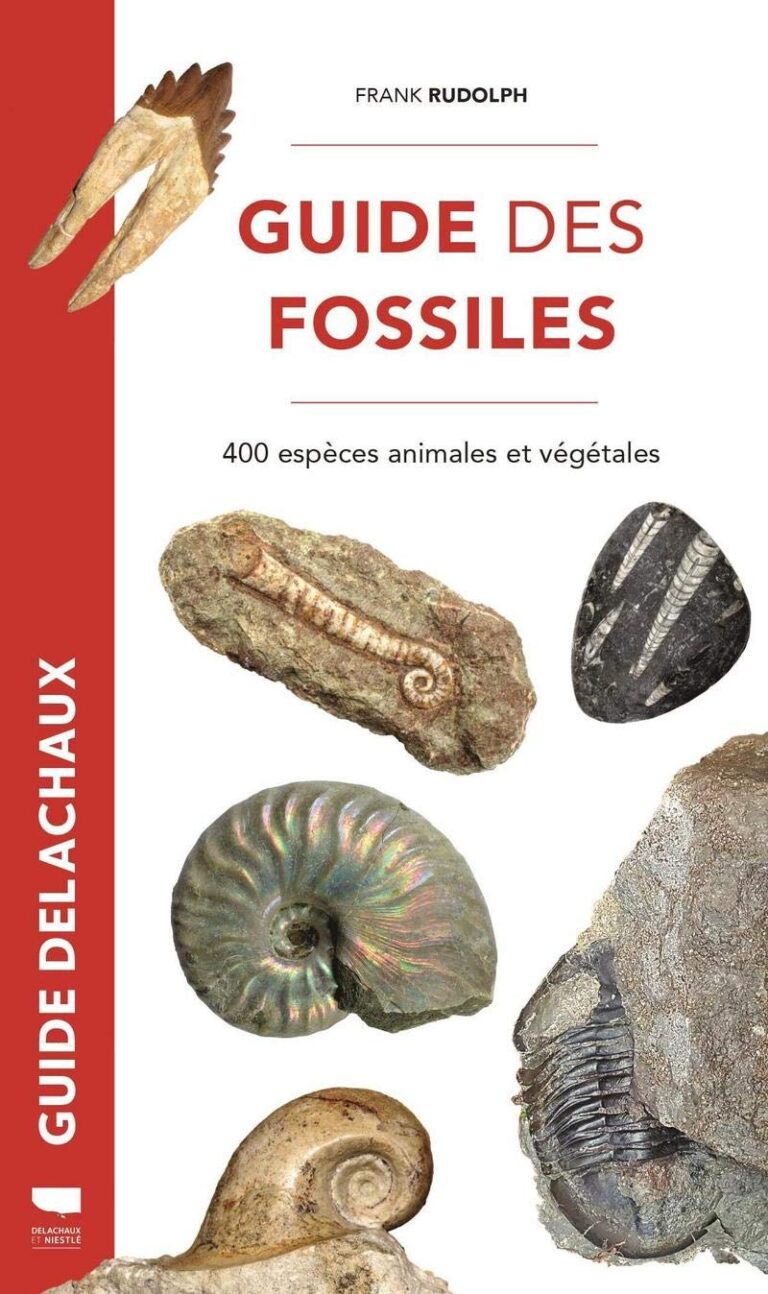 Guide des fossiles: 400 espèces animales et végétales